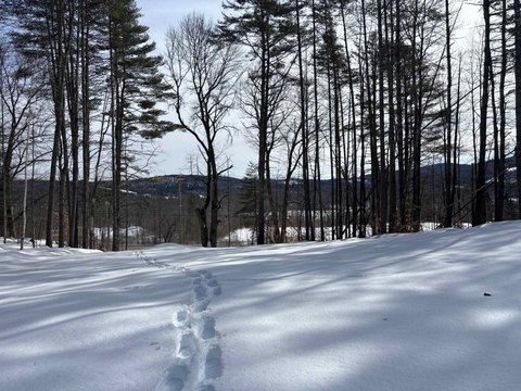 Recreational Land Parcel