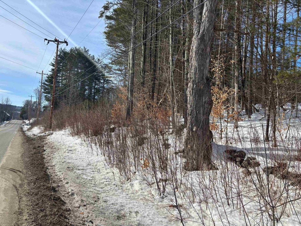 Picture 19