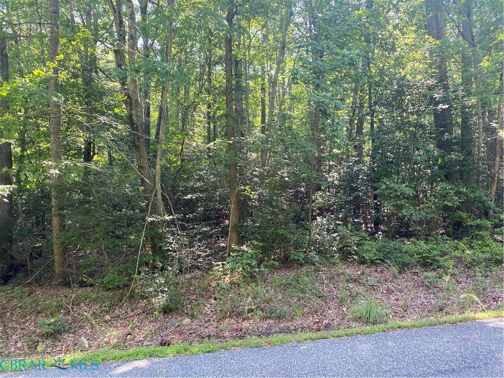Waterfront Land in Heathsville, VA