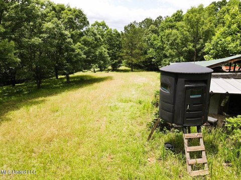 Secluded Hunting & Timber Investment