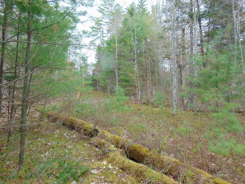Picture 4