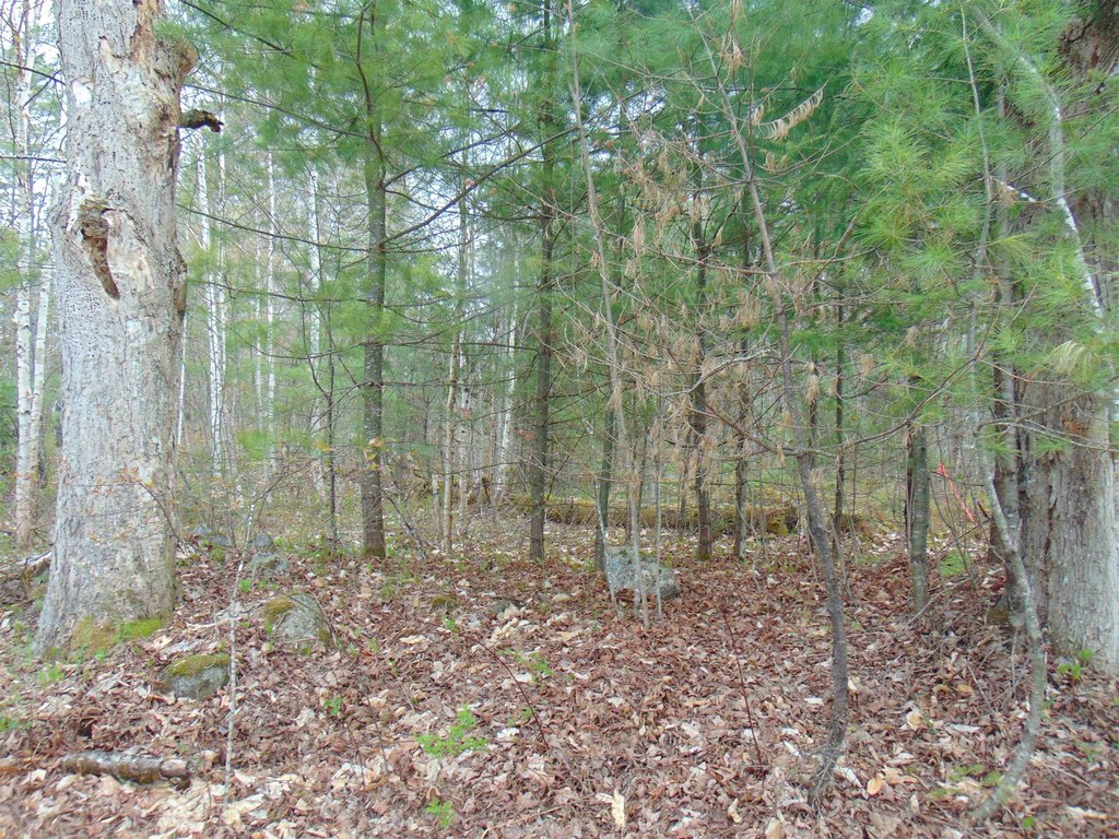 Picture 3