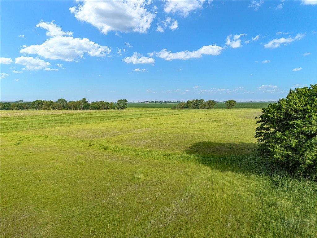 Picture 23