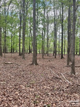 LAND - Monroe, NC