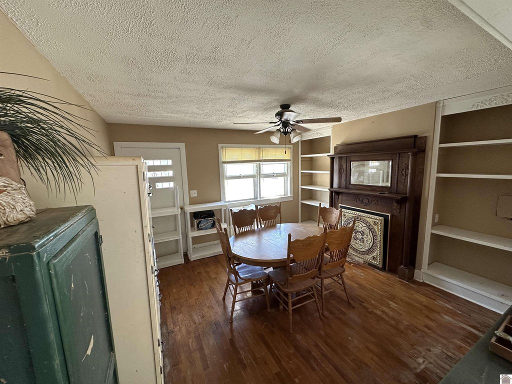 Picture 25