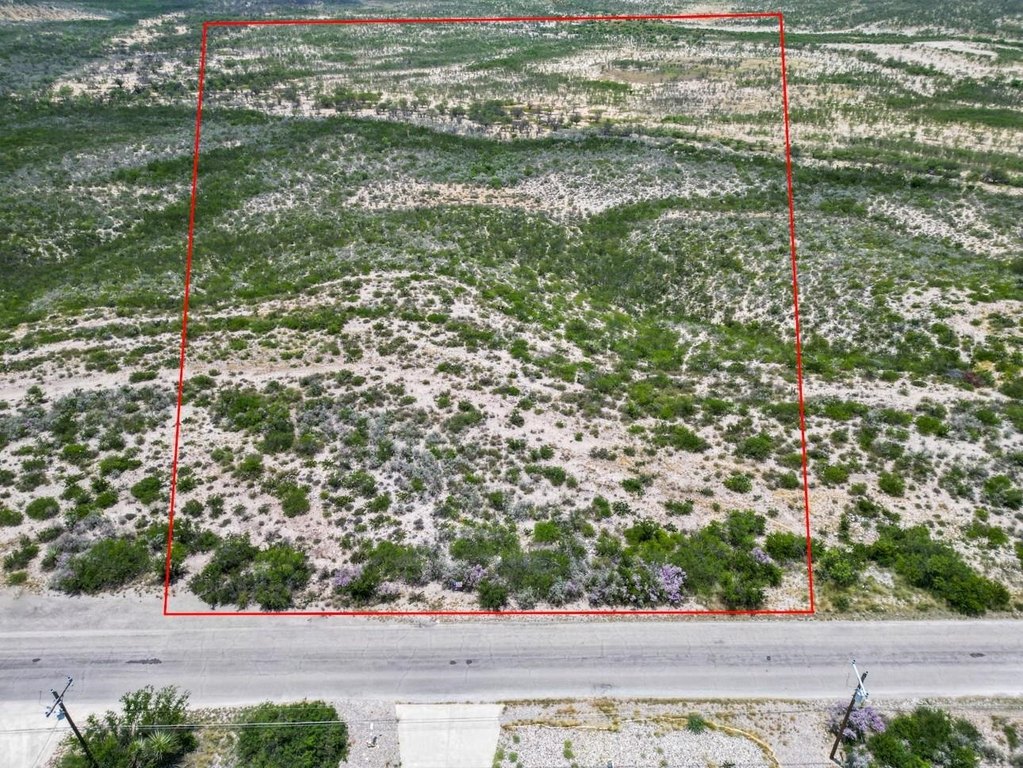 Picture 6