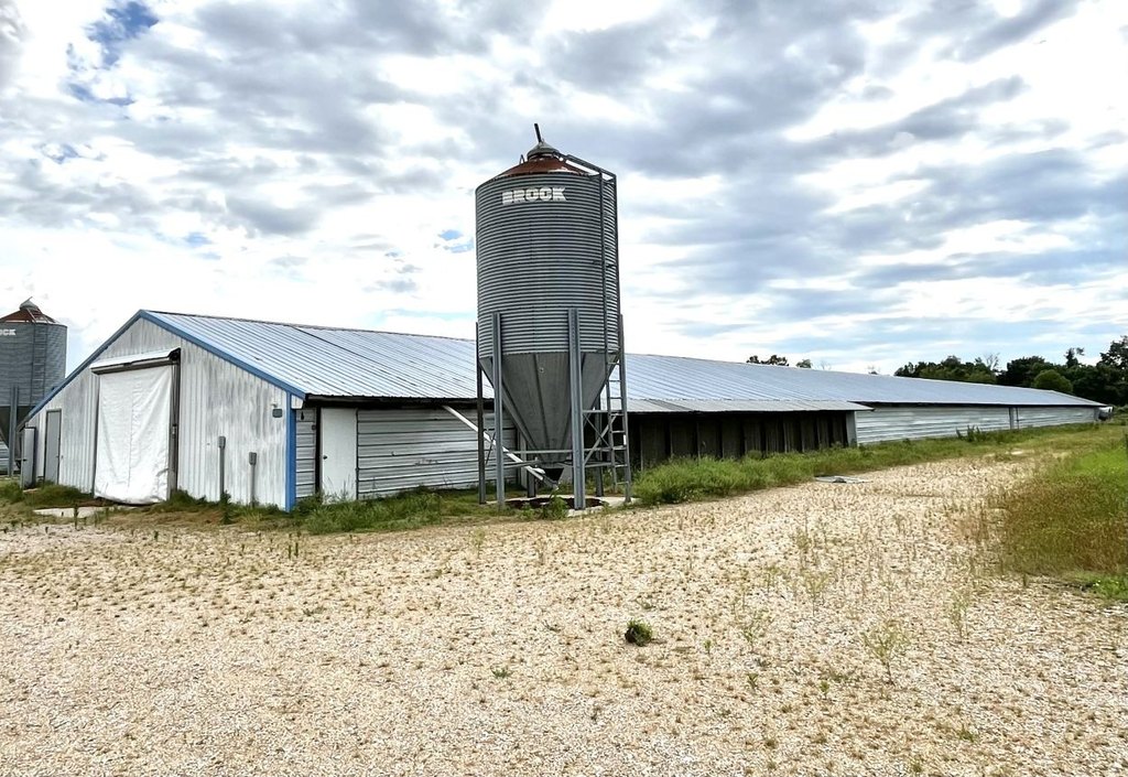 Picture 5