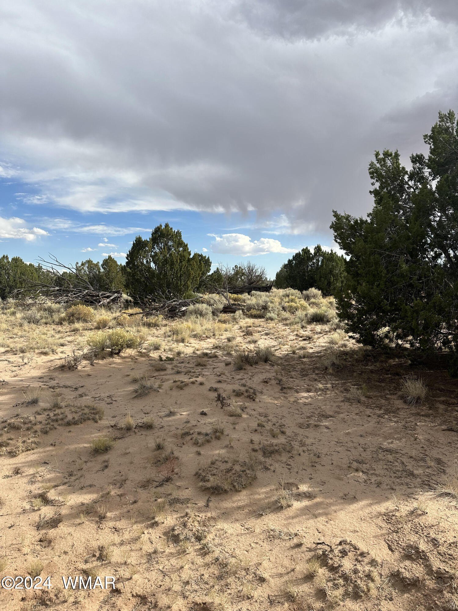 St. Johns Land For Sale
