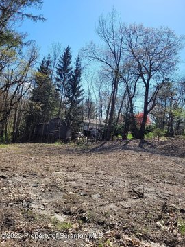 Dickson City Land For Sale