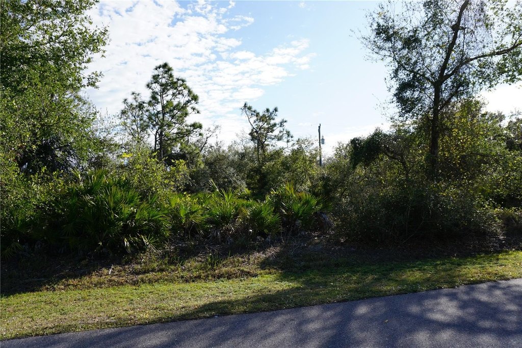 Picture 9