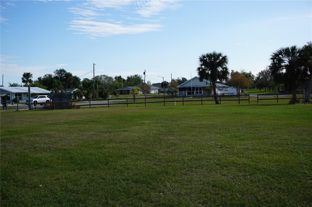 Picture 29
