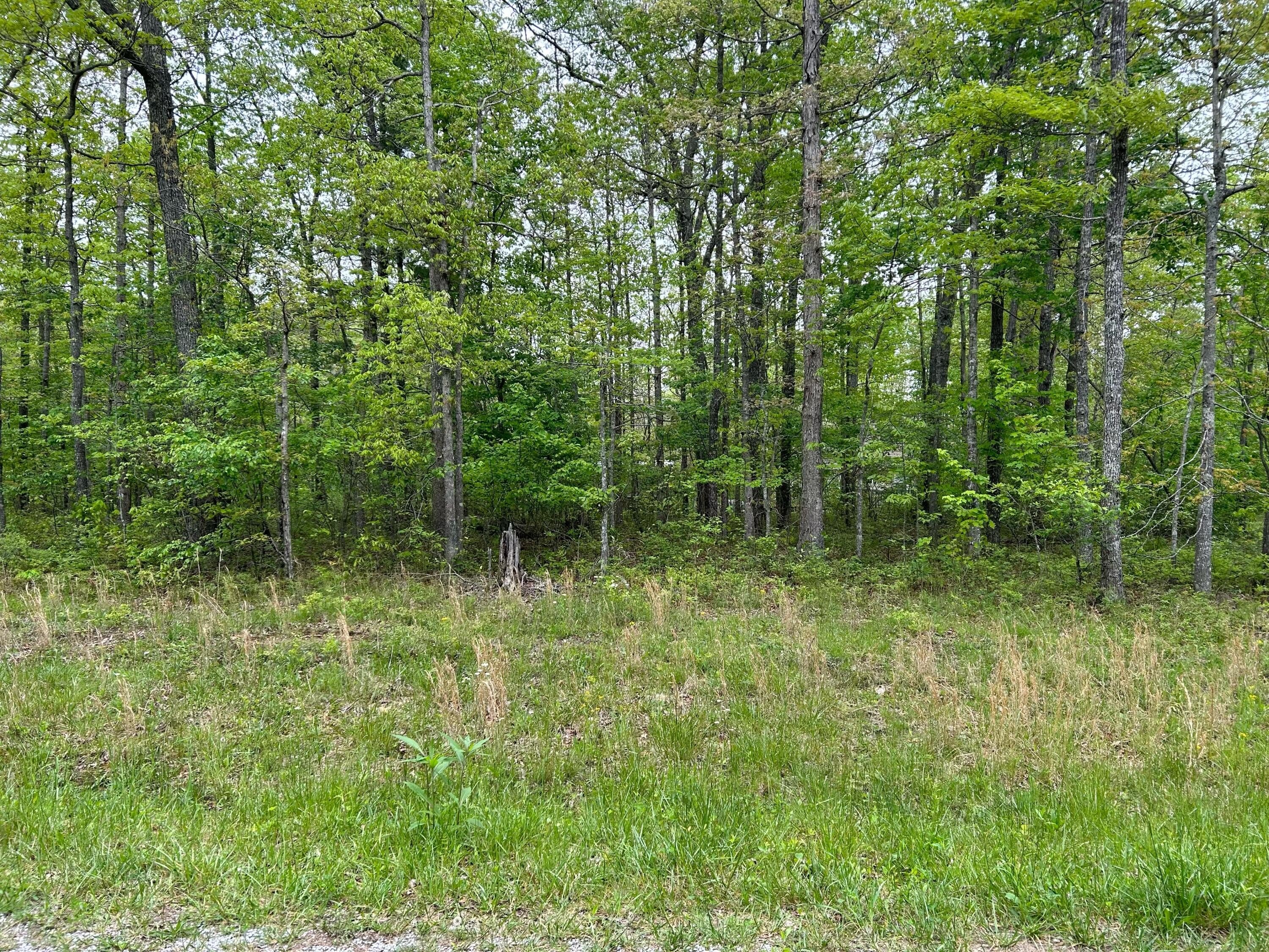 Residential Lot in Tansi Village