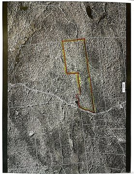 85+ Acres Timber Rich Land