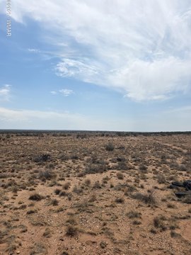 20 Acres in Snowflake, AZ