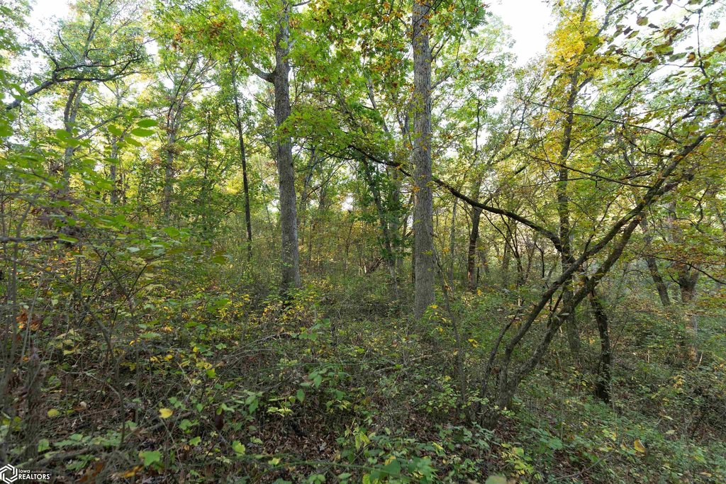 Picture 46