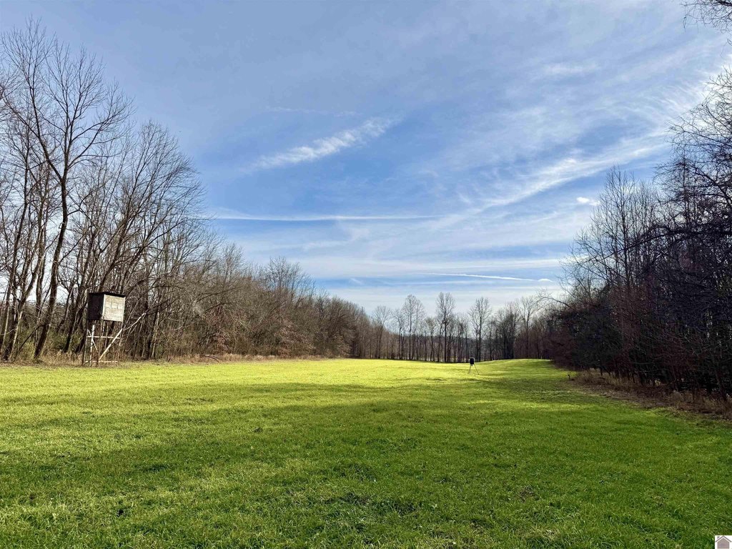 Picture 7
