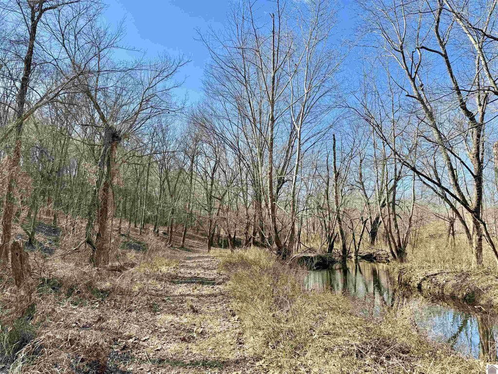 Picture 21
