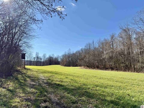 Recreational Timberland with Creek Frontage