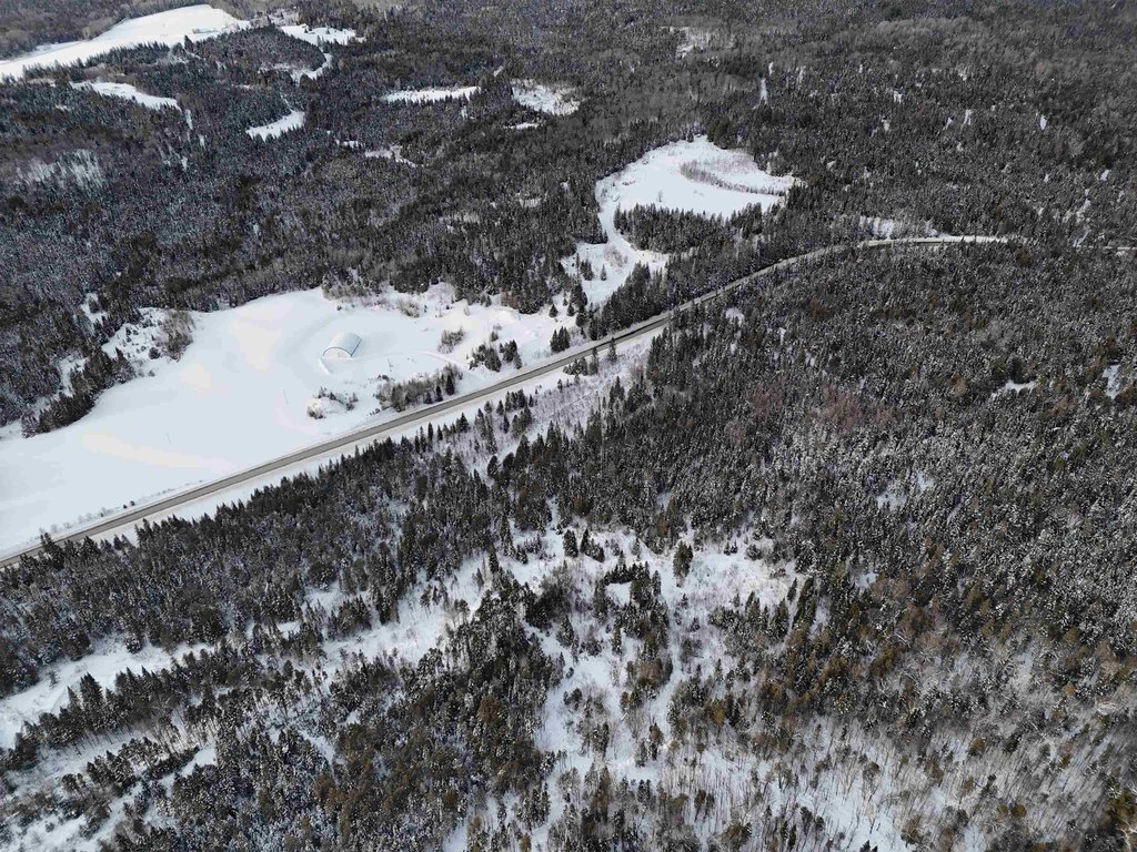 Picture 45