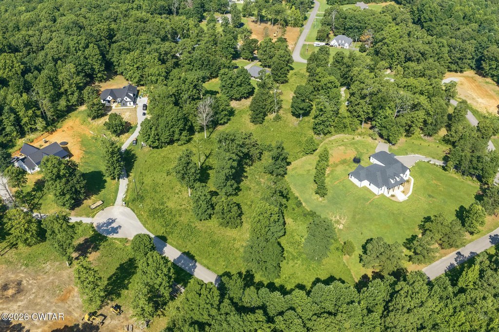 Picture 13