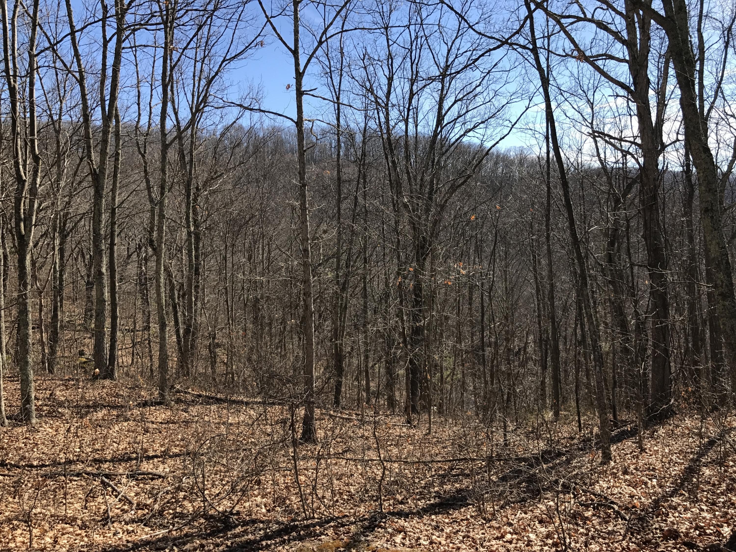 Residential Land in Gated Community