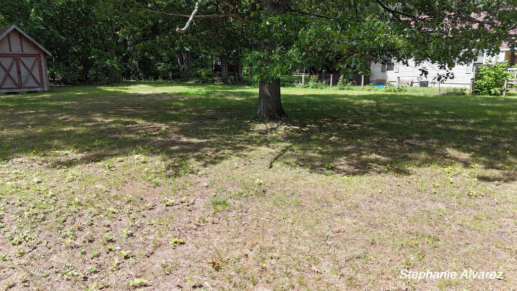 Picture 5