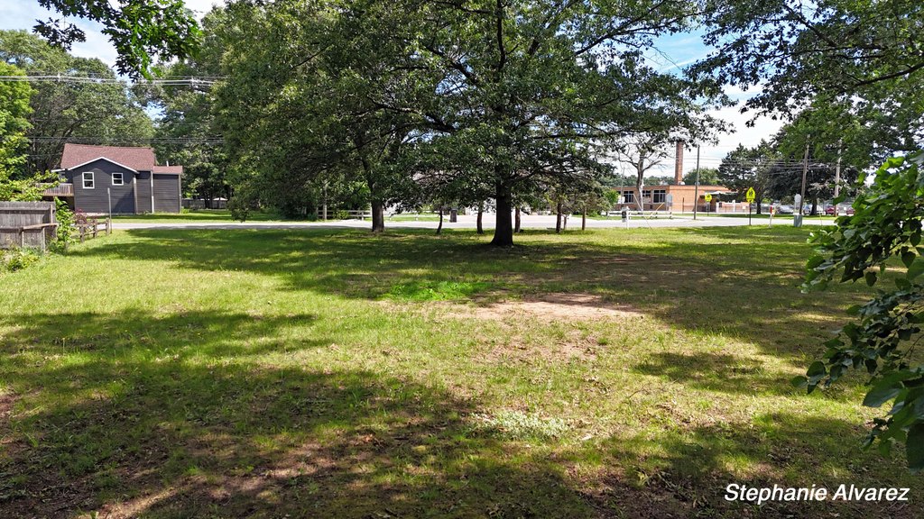 Picture 6