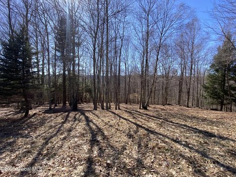 Wooded Lot Near Amenities