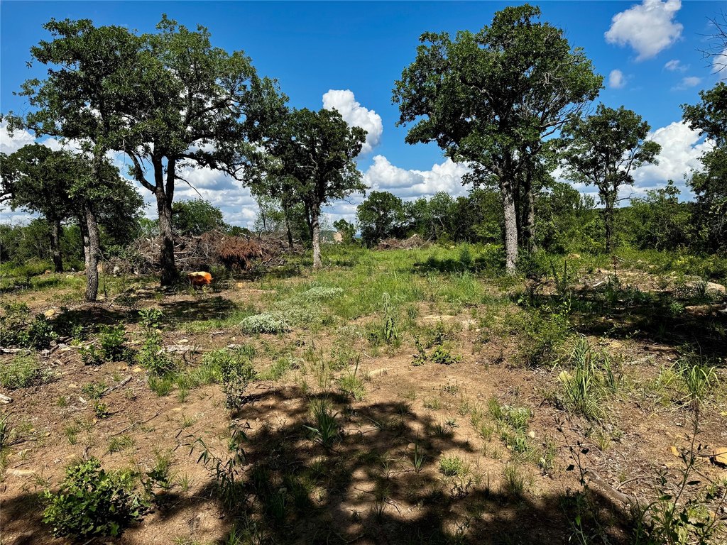 Picture 18