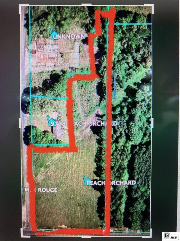 Picture 2