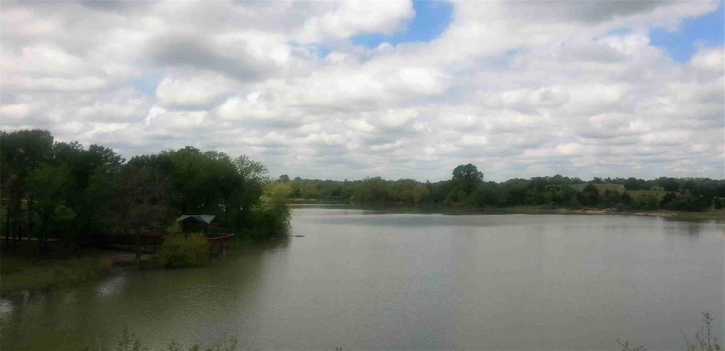 Picture 5