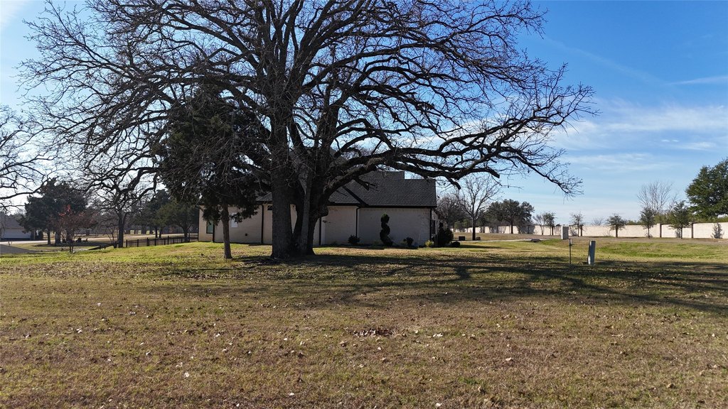 Picture 9