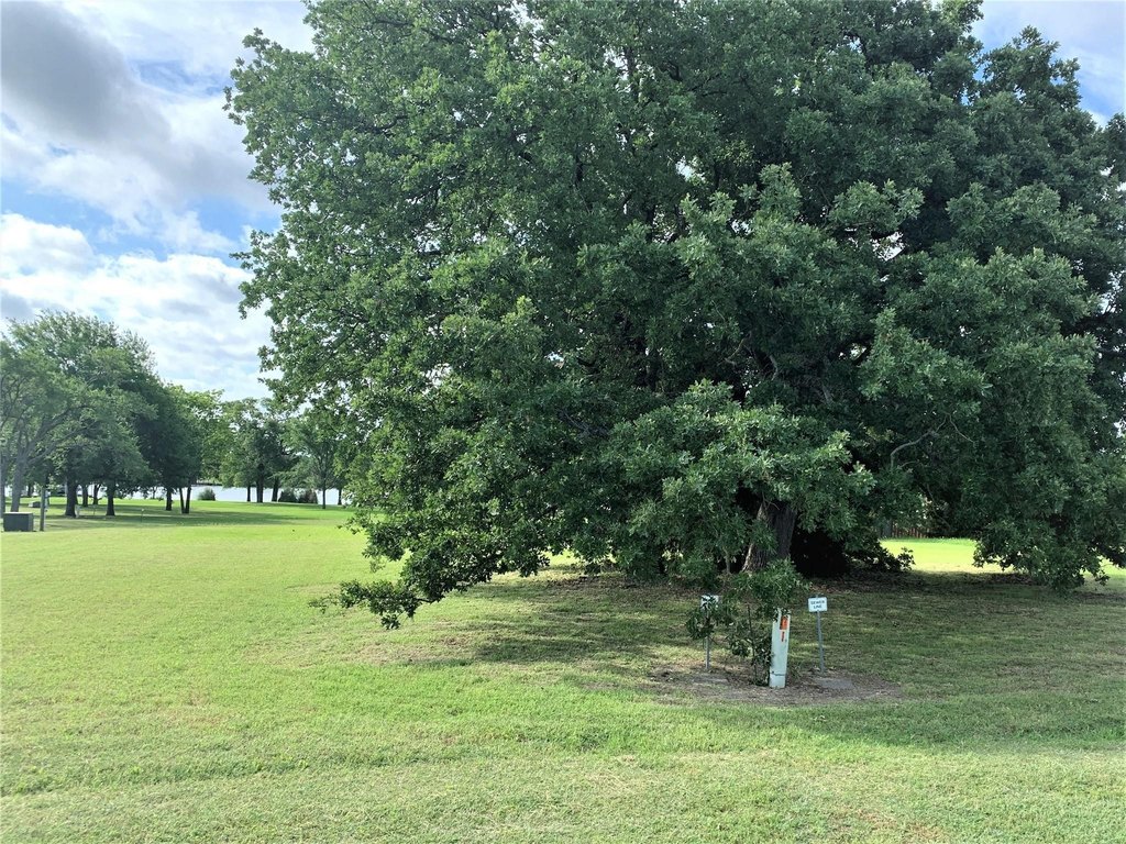 Picture 31