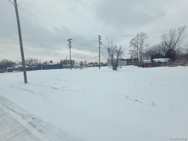 Picture 3