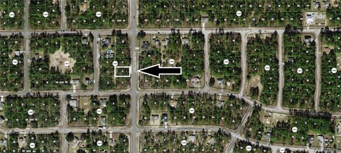 LAND - Citrus Springs, FL