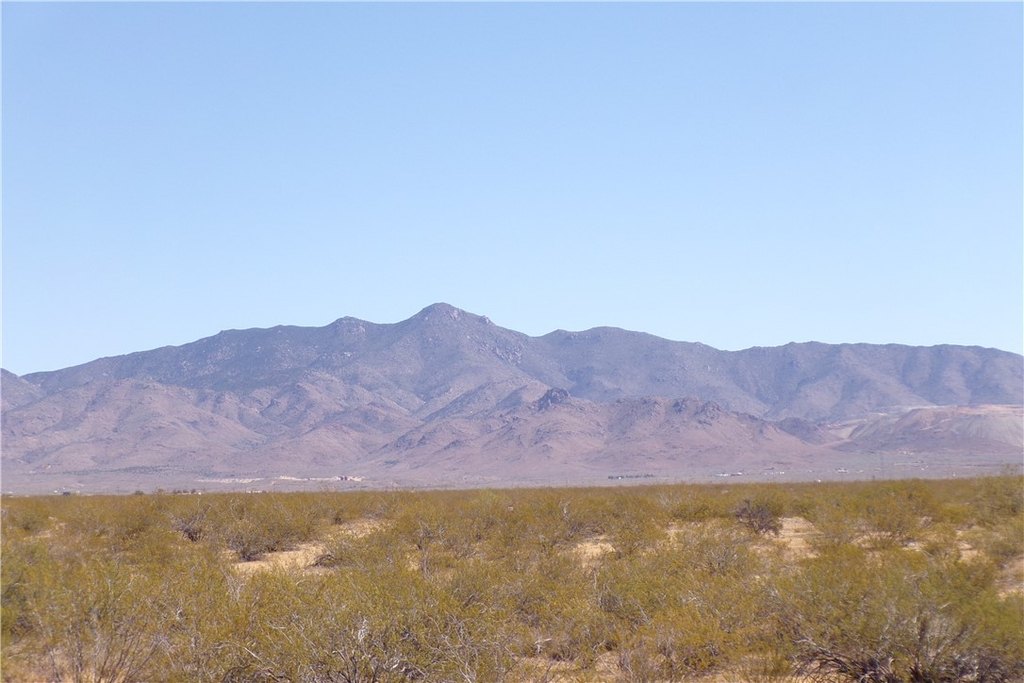 Picture 8
