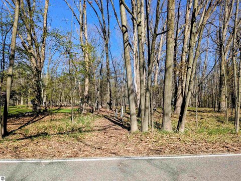 Wooded Lakefront Building Lot