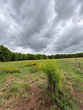Vacant Land, Sperry, OK