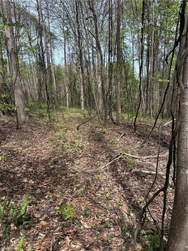 LAND - Mocksville, NC