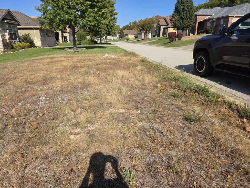 Picture 4