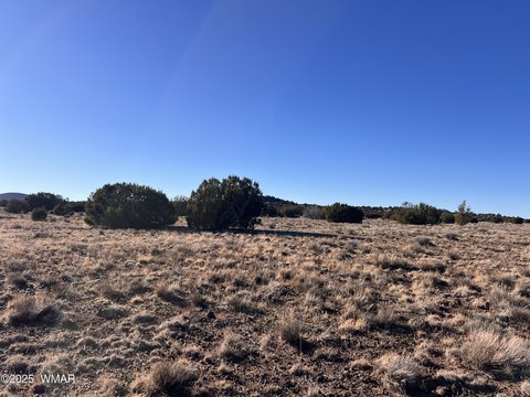 Vernon, AZ Land Parcel