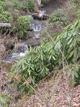 Land with Waterfall in Glenville