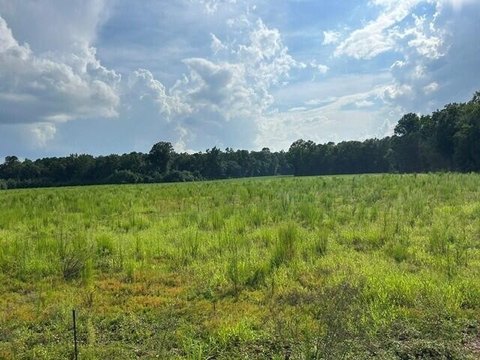LAND - Harleyville, SC