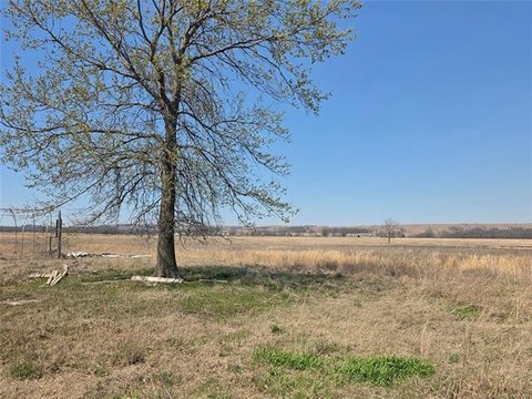 40 Acres Pasture Land