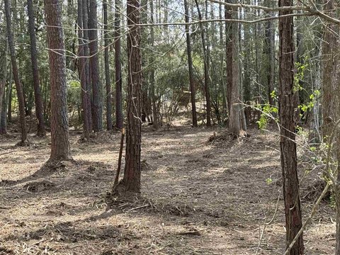 Brookeland, TX Build-Ready Homesite