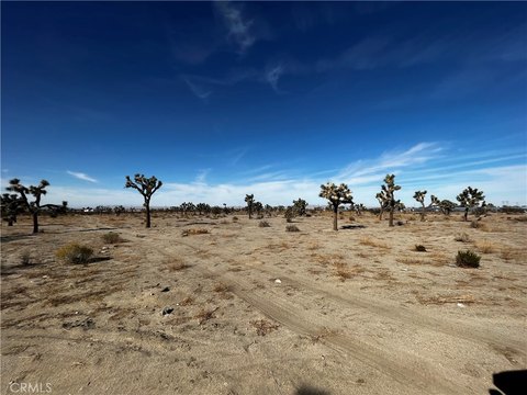 Pinon Hills Land with Views