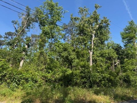 Land, Valdosta, GA