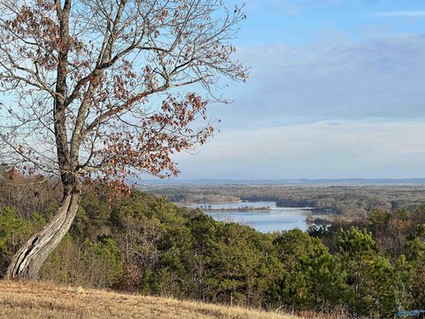 Land in Cedar Bluff, AL