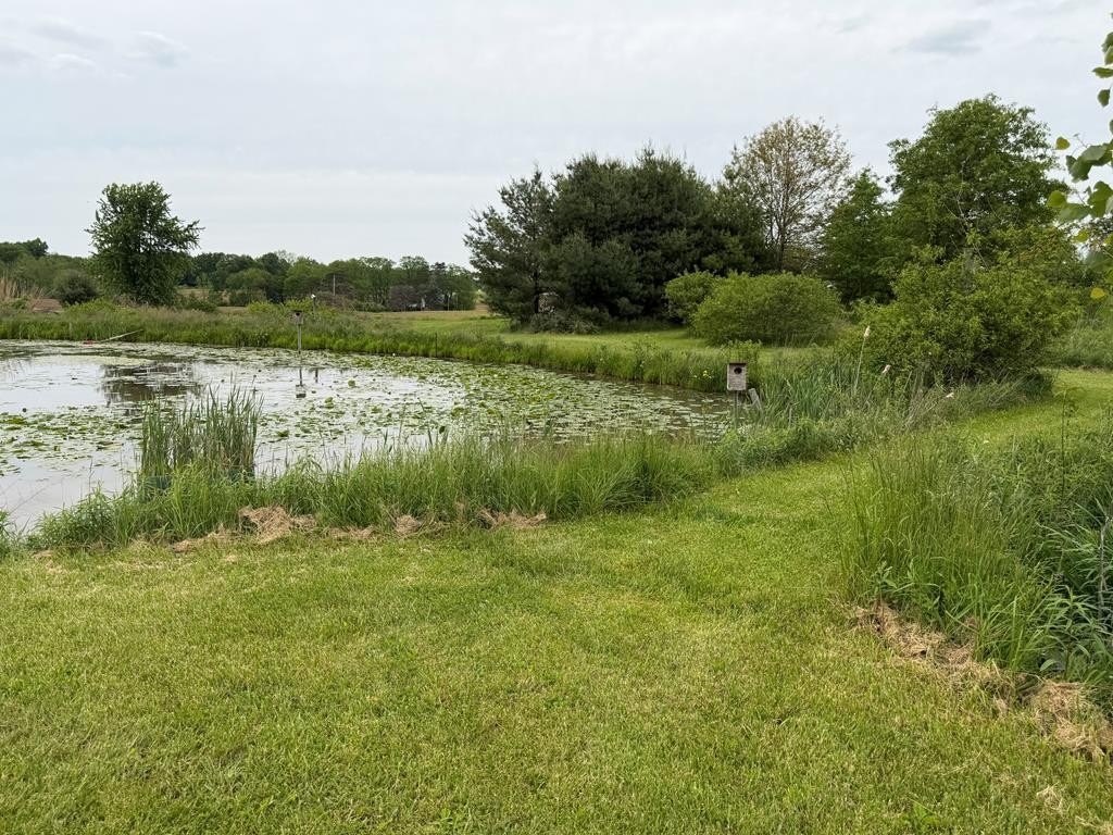 Picture 20