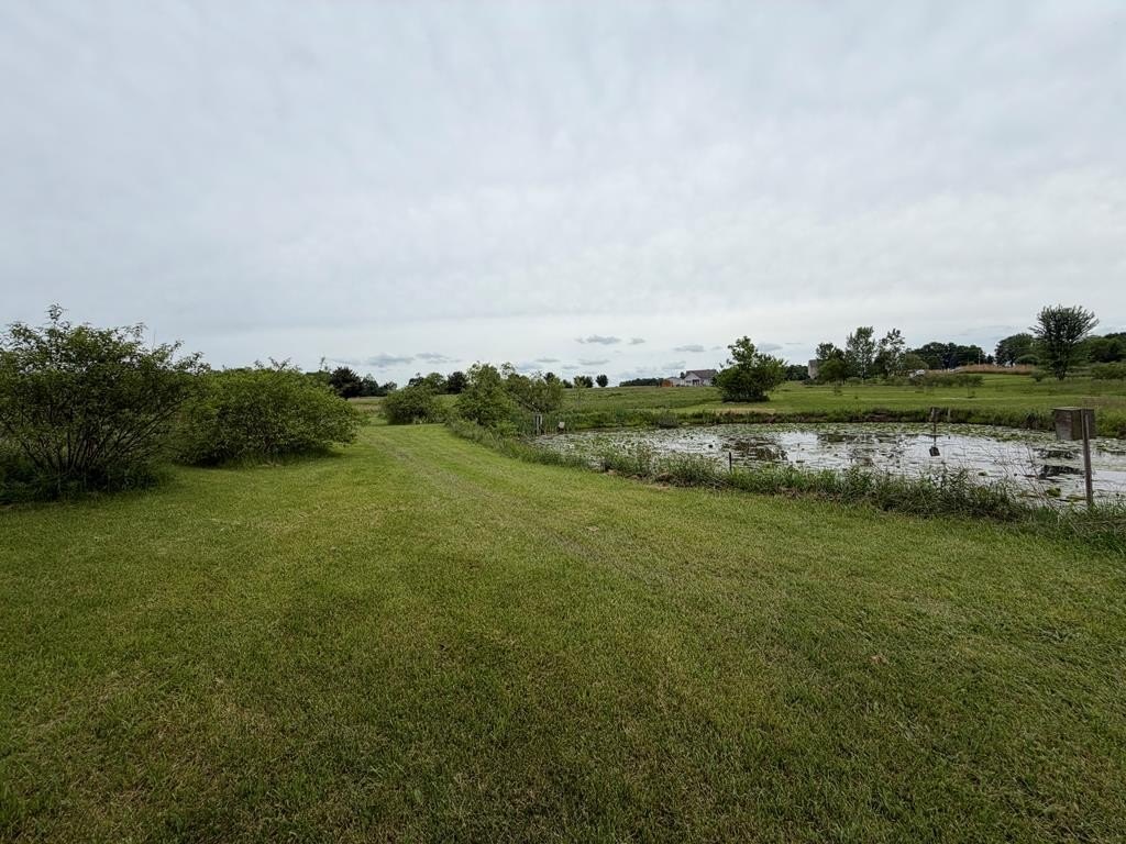 Picture 19